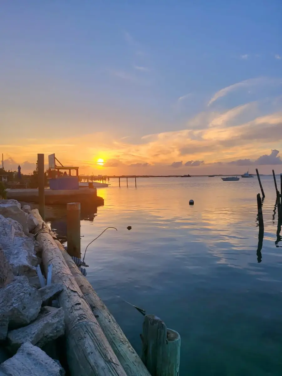 A calm harbour at sunset with boats on moorings